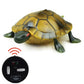 9993 Infrared Sensor Remote Control Simulated Tortoise Creative Children Electric Tricky Toy Model, Tortoise(Green), Tortoise(Yellow)