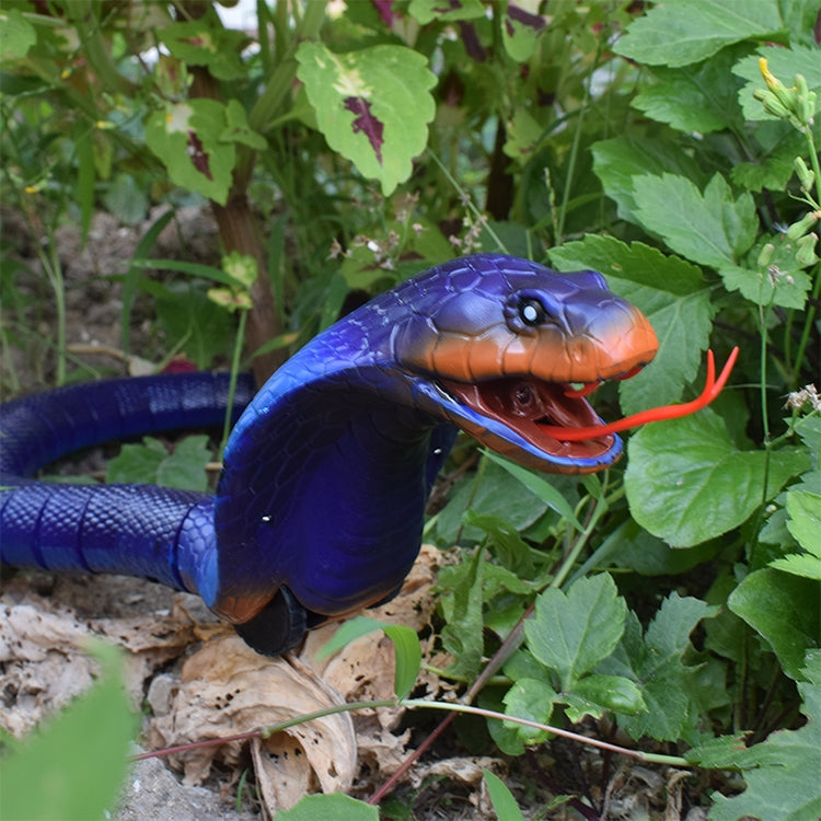 8808B Infrared Sensor Remote Control Simulated Cobra Creative Children Electric Tricky Toy Model, Cobra