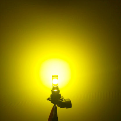 CMS2559Y_6.jpg@677e4a0f58d21ce4e1d0b97cedbac9e6