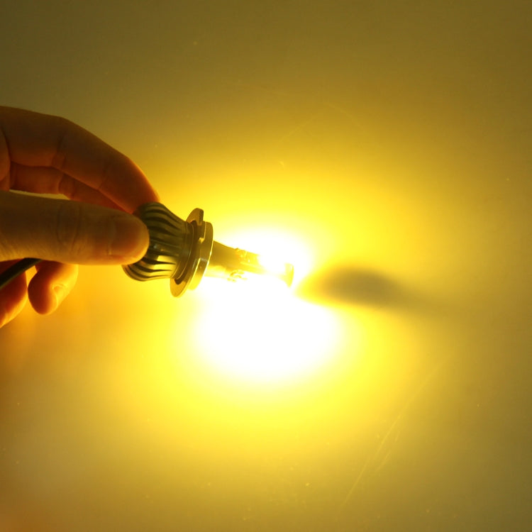 CMS3265_4.jpg@f5ca40eaad27283491dfe4879f630978