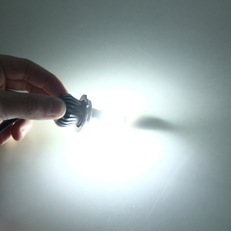 CMS3265_5.jpg@5a3bf555e6cf95c8bc7793913863d0e0