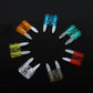 Medium blade fuses with multicolor transparent bodies and metal pins