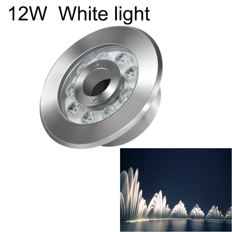 Stainless steel ring LED underwater fountain light, 12W white light, clear lens LED array