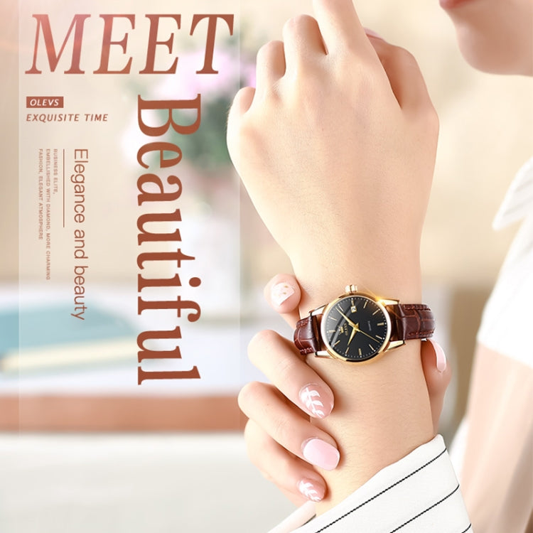 Women's wristwatch with brown leather strap and black dial, gold-tone case