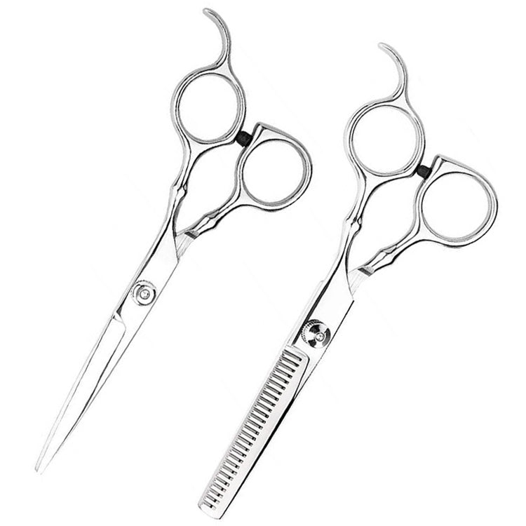 Professional hair cutting and thinning scissors set with two stainless steel shears