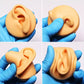 Silicone facial feature model head with ear detail