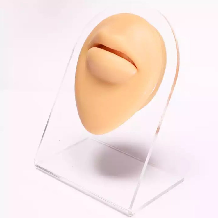 Flesh-tone silicone facial feature insert on clear stand with angled opening