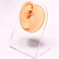 Flesh-colored silicone ear model with inner ear detail.
