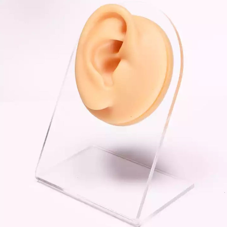 Flesh-colored silicone ear model with inner ear detail.