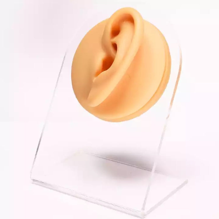 Flesh-colored silicone ear model with inner ear detail, side view.