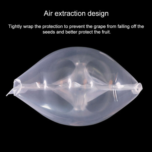 EDA00587005_2.jpg@f2c951c00cb19fb3d512d6e2430aebfd