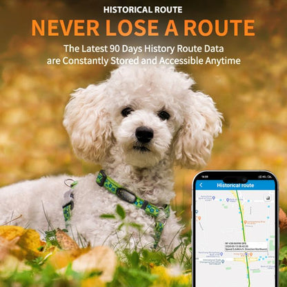 EDA007886401A_8.jpg@081de79f1a8f5bf282c144748839545f