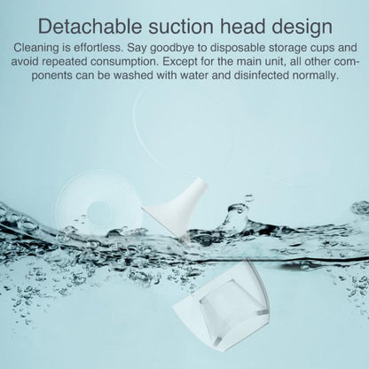 EDA0080383_B1.jpg@77a4c21e4d98ebc66d3b4508b3a153c2