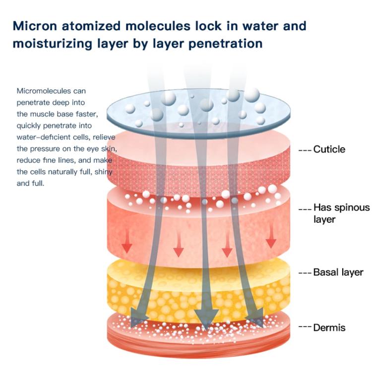 EDA008049401A_6.jpg@aca612b7fa6735bf08f494d2d615ec47