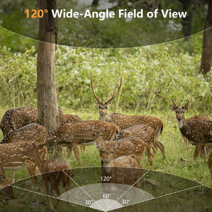 EDA008070501A_9.jpg@d25a97e38ca5aeda1545294bfe2aa4a6