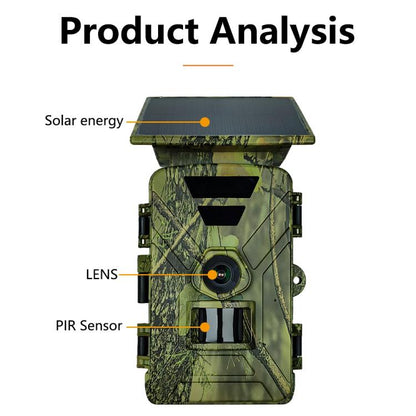 EDA0080724_1.jpg@5181b823d97ce73c87db3935f4a57af3