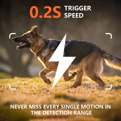 EDA0080725_6.jpg@6fd061ee9300c9eaa23dc84427cfe9a2