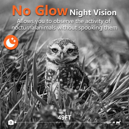 EDA0080726_5.jpg@8c92d9b122a080cf4f35c6a218bf6481