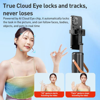 EDA008076501A_4.jpg@8d579923b0f9d7a728d82781b32bb377