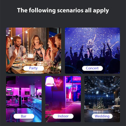 EDA008097802A_8.jpg@2bd68352478a7a40aa0c420718e150e9