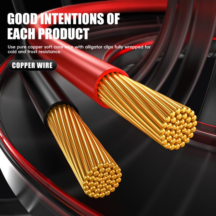 EDA008118403B_15.jpg@8f59631858d84b1cee6bef68889ef8bf