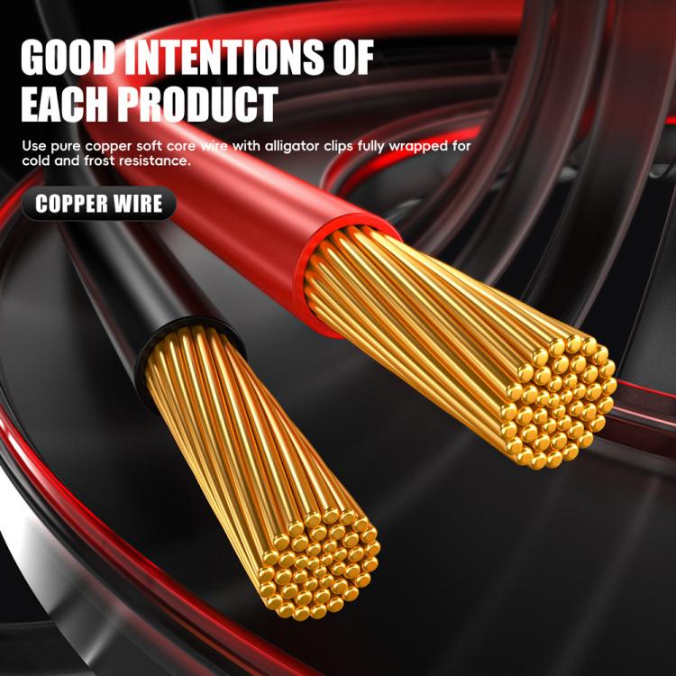 EDA008118404A_15.jpg@e3eb480e2c7c9099c39540d36f421a15