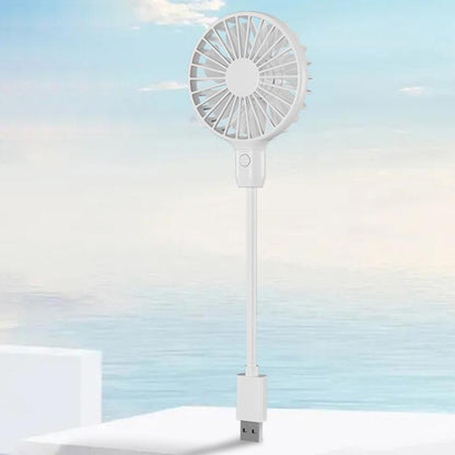 EDA008156301A.jpg@d9e6e97f15096c88c9962e8ff84c811d