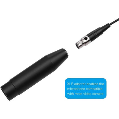 EDA0081766_B3.jpg@8b1b9f9f8e03d4c7df194a7eaf806869