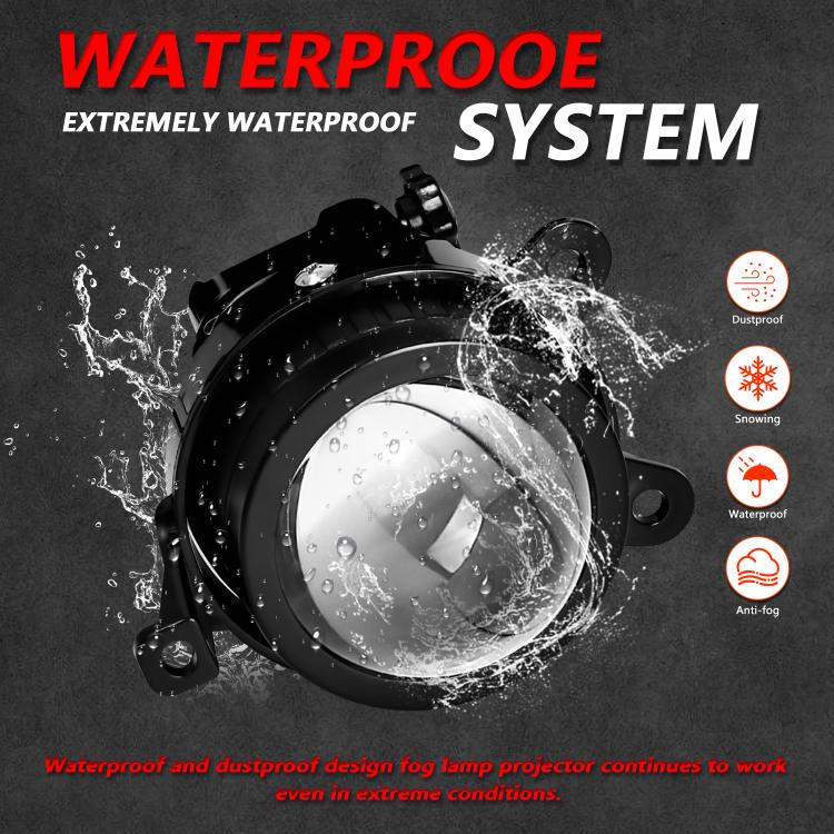 EDA008224401_6.jpg@1a07f61cfe00e4b7a565d5e19db91b17