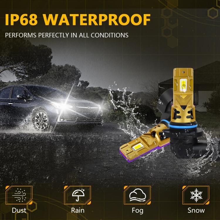 EDA008225401A_3.jpg@9ab67cc83e522c242b408579aa47532a