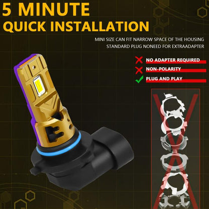 EDA008225401A_6.jpg@c55e144d50ba6f2f0336e5529ce86af5