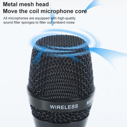 EDA008325101A_3.jpg@326e315217c8bd29cf594096082cd5c5