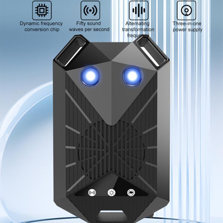 EDA008330501A_1.jpg@6b31d01bab830e66c7deb4dfe1d60484