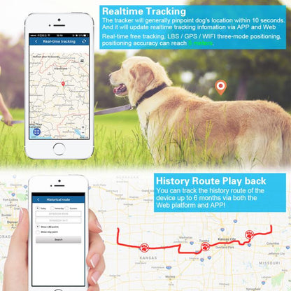 EDA008332301A_7.jpg@35592a9c1fc6af922bb5c3255c121d31