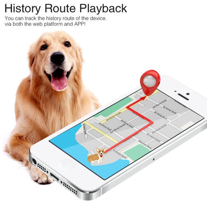 EDA008332301A_9.jpg@6df50b7c586189cf7a2d3eedc802e1e0