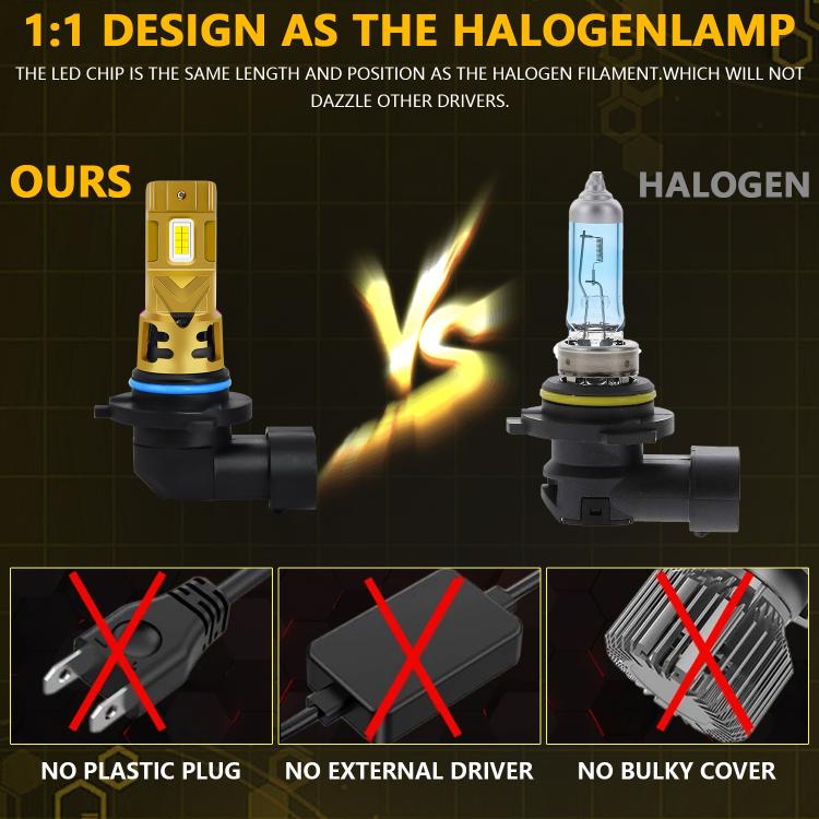 EDA008334601A_5.jpg@6588b3a10704e78c29bbc61fd07cd021