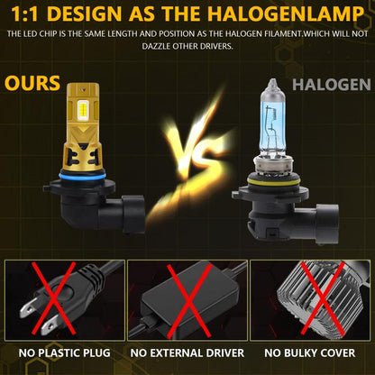 EDA008334602A_5.jpg@6588b3a10704e78c29bbc61fd07cd021