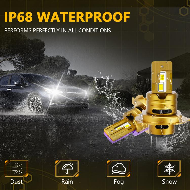 EDA008334604A_4.jpg@145e40cb9dec45d8b04132a7abe90db9