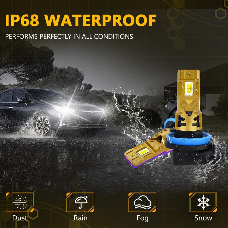 EDA008334606A_4.jpg@e24dcd23c7573b7b01c8754966d89553