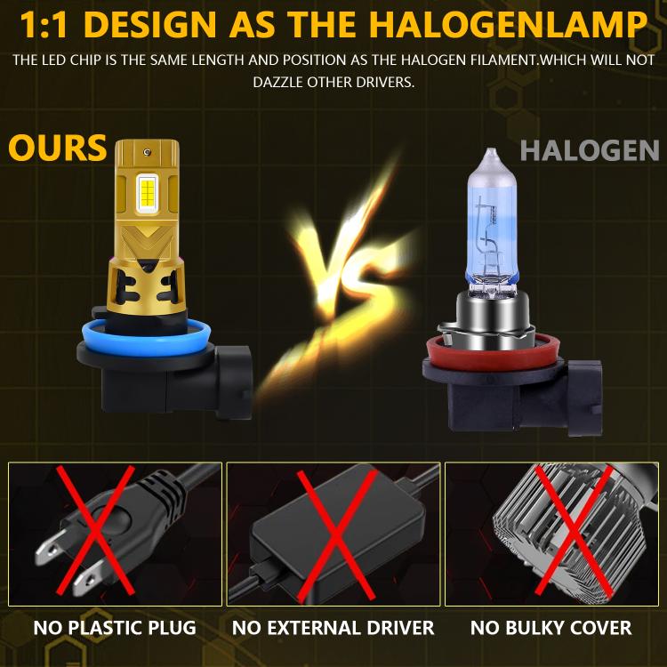 EDA008334606A_5.jpg@0d540c2a0115d16bd358637838d7f4d5