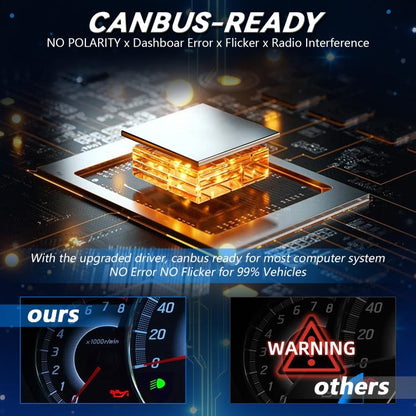 EDA008335304A_2.jpg@a298cf4ac7a106946a2926ebd8494c69