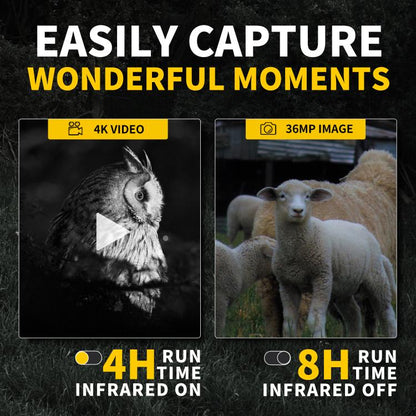 EDA008353201A_15.jpg@7c18ceeb0dcae333179347d11daffb9c