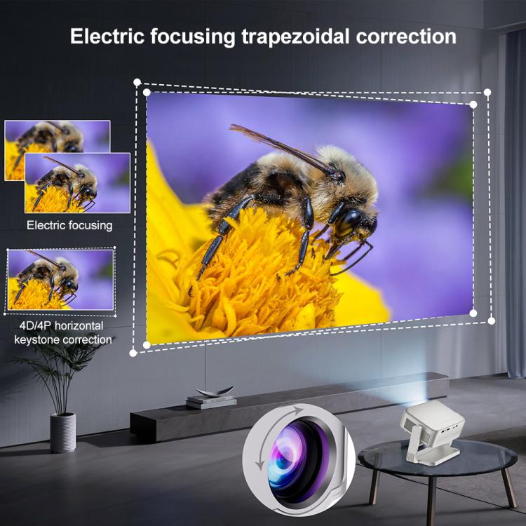 EDA0084347_B5.jpg@dd73fc6fba9d2495cb6b7cc18cc1d21e