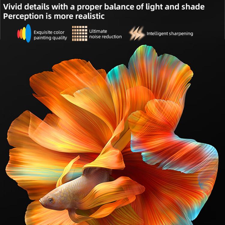 EDA0084365_B4.jpg@ee5ca70872eca1d03f5cbe2bc105bfa4