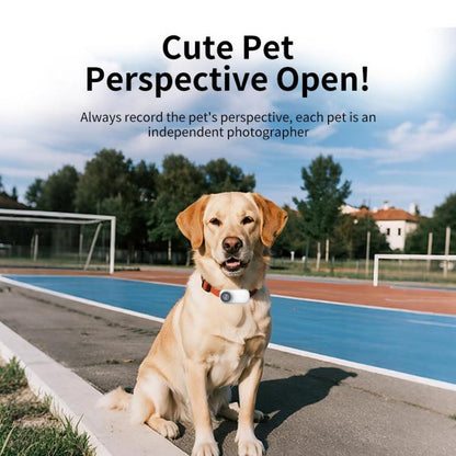 EDA008467202A_14.jpg@982593f1aa7bf6bc5a43e3d12911c5fa