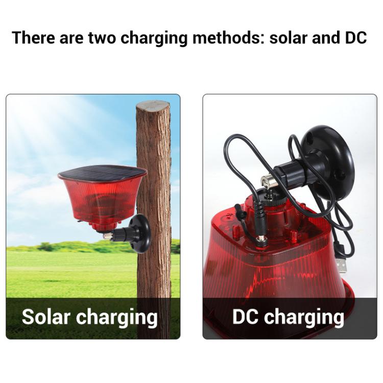 Orchard Sound and Light Alarm Solar Powered Animal Repellent