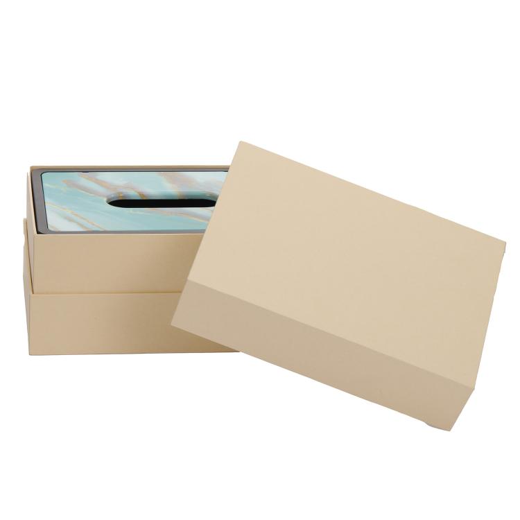 Acoustic Privacy Protection Device, EU Plug, US Plug