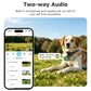Green waterproof pet GPS tracker with camera, shown on a dog and smartphone app