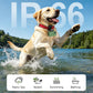 Green waterproof pet GPS tracker with camera on a dog playing in water