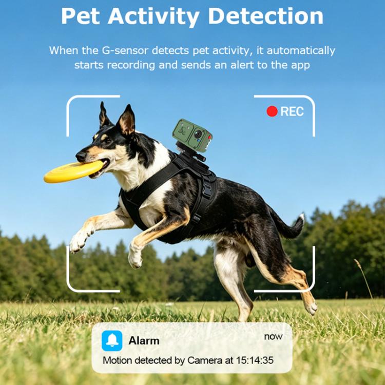 Green pet GPS camera on a dog harness with REC indicator and motion-alert overlay